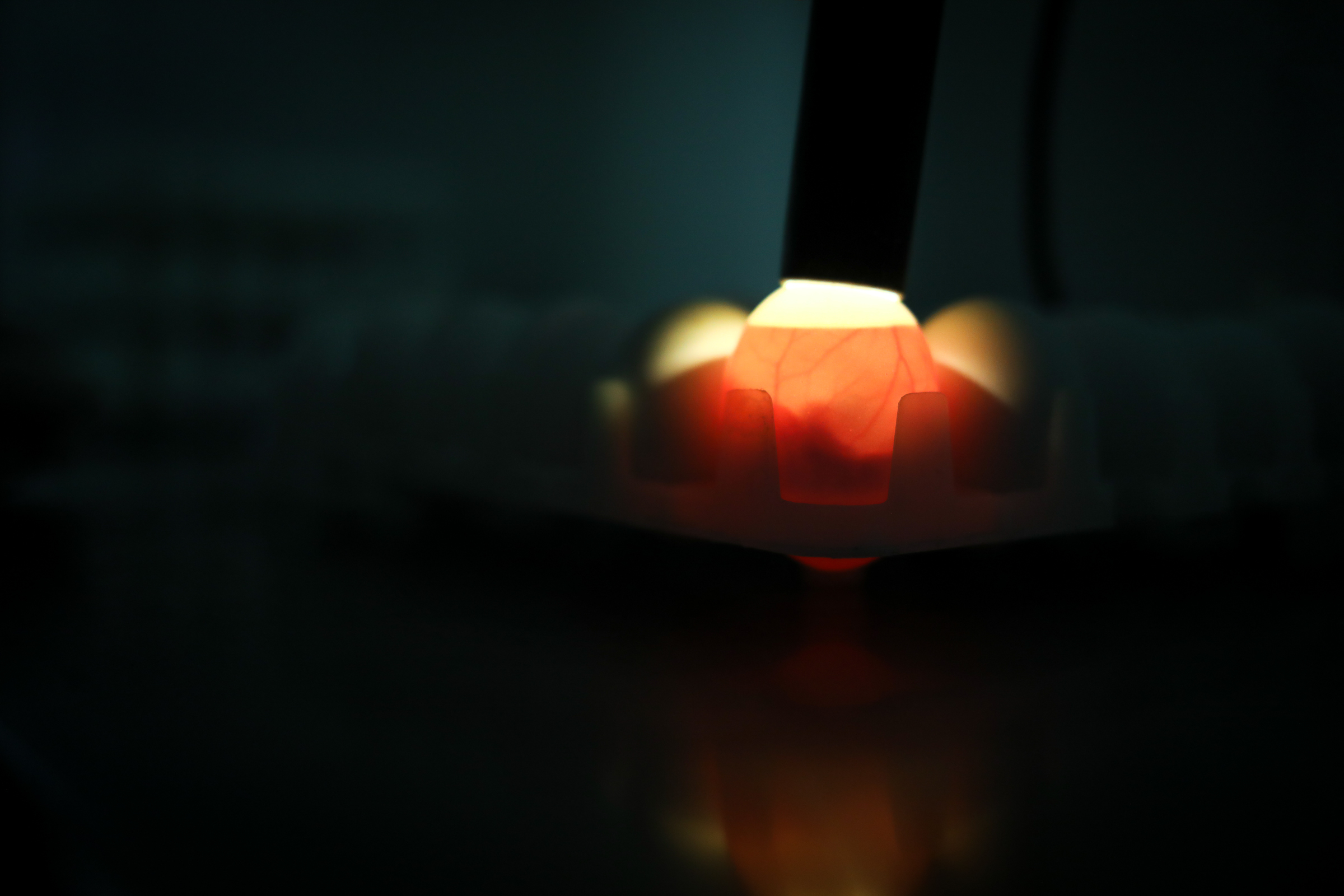 037A9804_2023-03-19-120531_tile